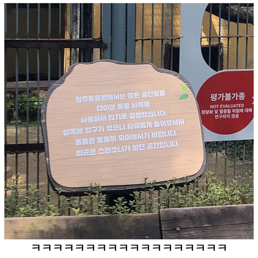 동물 체험이 가능한 동물원_2.jpg
