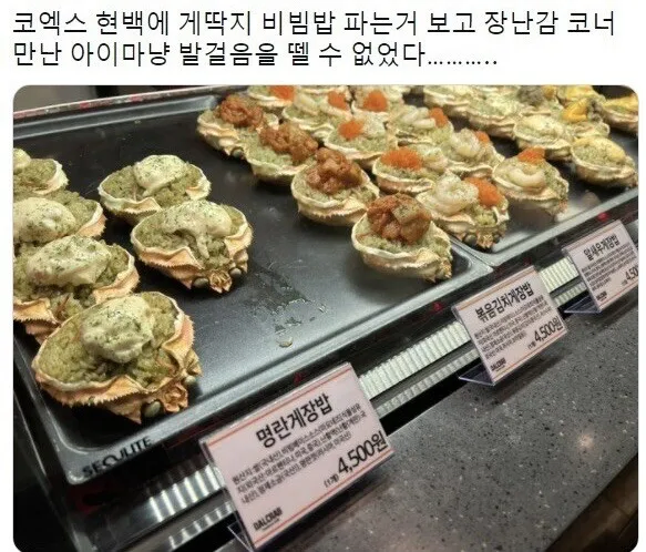 게딱지 비빔밥 코너.jpg_1.webp