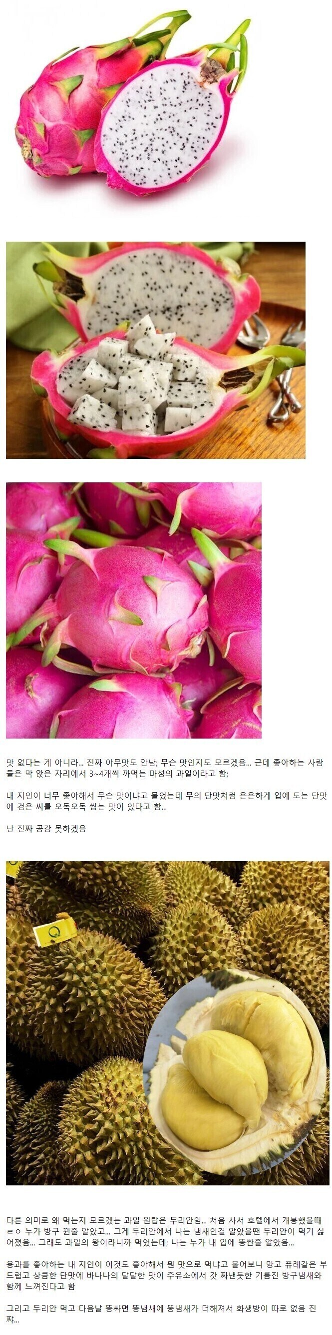 무슨 맛으로 먹는지 알 수 없는 과일.jpg_1.jpg