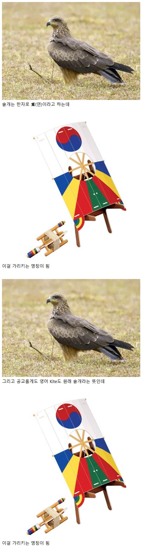 단어의 수렴진화.jpg_1.png
