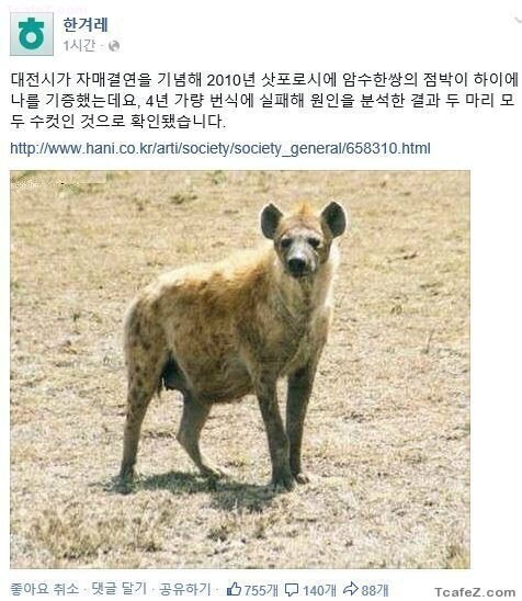 남자 둘을 ㅅㅅ하지 않으면 나오지 못하는 방에 가두는.jpg_1.jpg