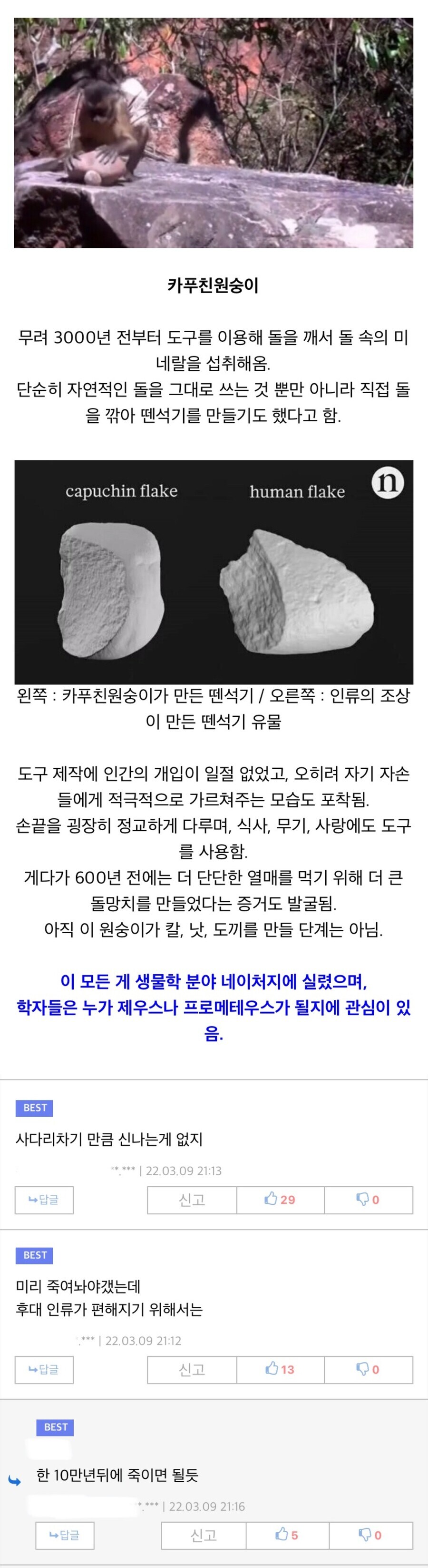 아직도 석기시대를 살고있는 동물_1.jpg
