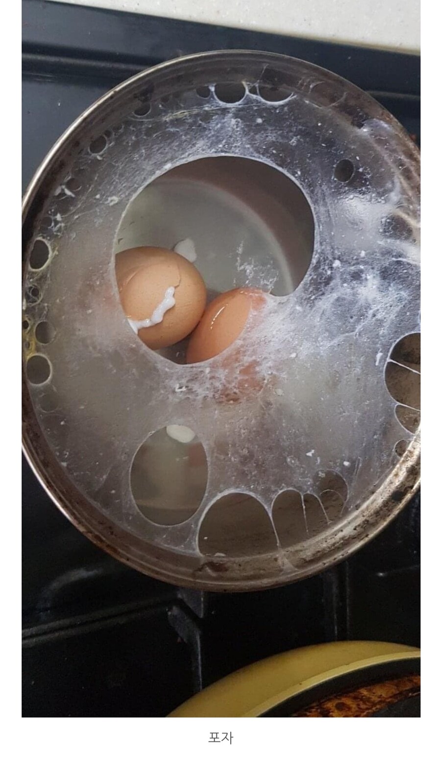 망한 삶은 계란 대회 우승 후보자들.jpg_2.jpg