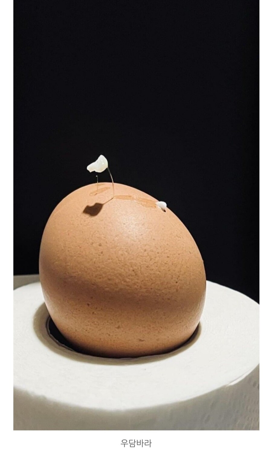 망한 삶은 계란 대회 우승 후보자들.jpg_6.jpg