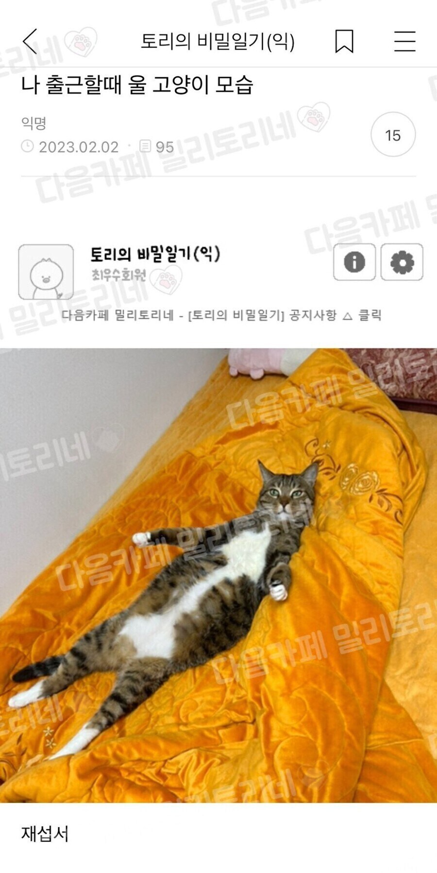 나 출근할때 울 고양이 모습_1.jpg