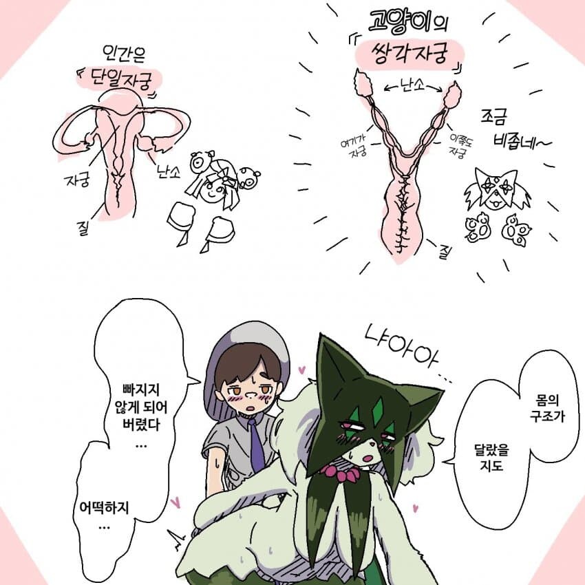 자궁 구조_1.jpg