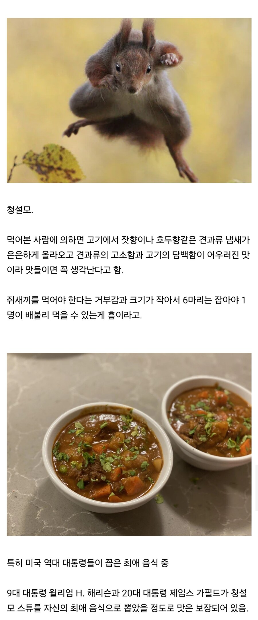 의외로 존맛이라는 동물.jpg_1.jpg