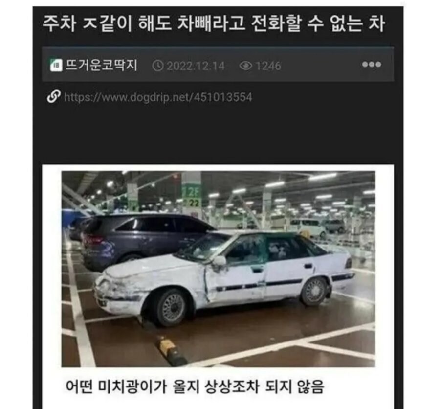 주차 개같이 해도 못 건드리는 차.jpg_1.jpg
