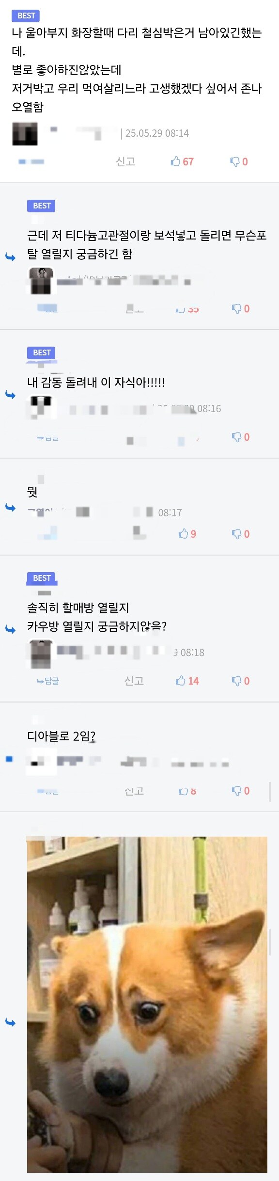효자와 악마가 공존하는 상황_2.jpg