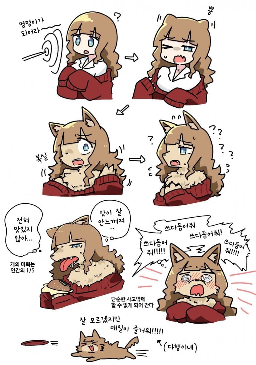 멍멍이가 되는 마법에 걸린.JPG_1.jpg