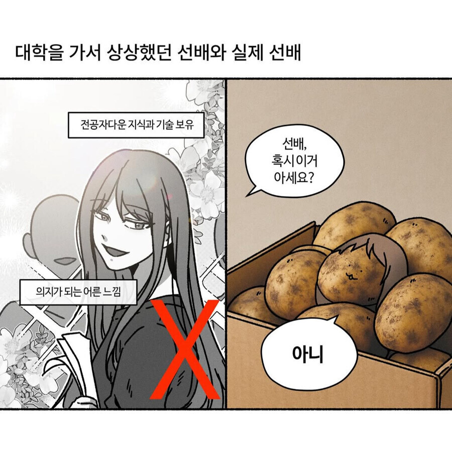 대학 가며 상상했던 선배와 실제 선배.jpg_1.jpg