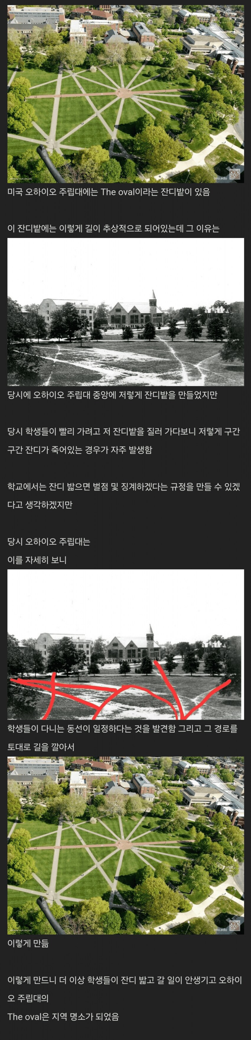 오하이오 주립대 잔디밭의 길_1.png