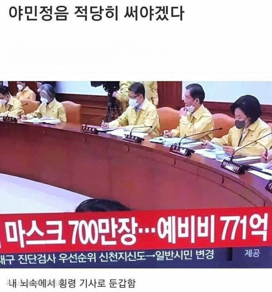 예비비