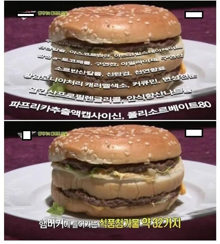햄버거의 불편한 진실_1.jpg
