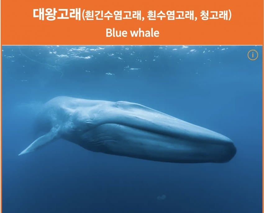 임마보다 꼬츄 작으면 ㅊㅊ_1.jpg