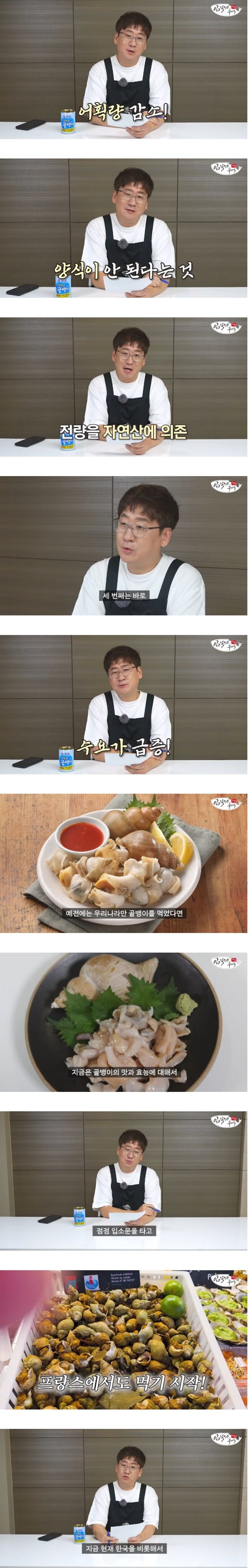 프랑스 놈들이 하등 도움 안되는 증거.JPG_1.jpg