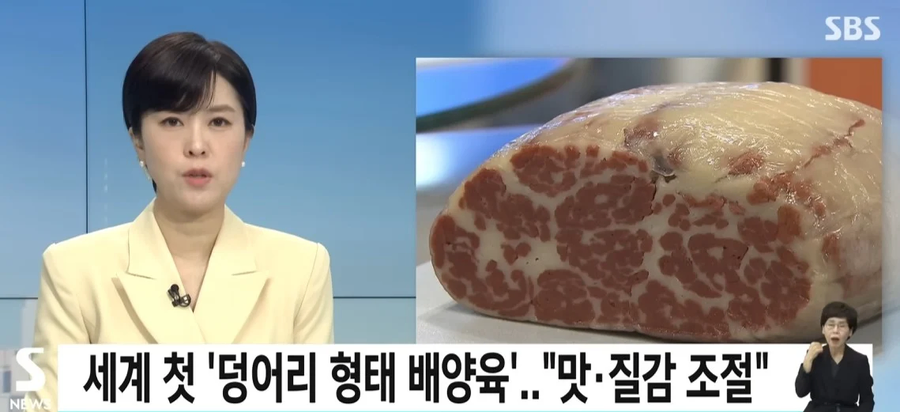우라나라에서 만든 세계 최초 덩어리형태 배양육_1.webp
