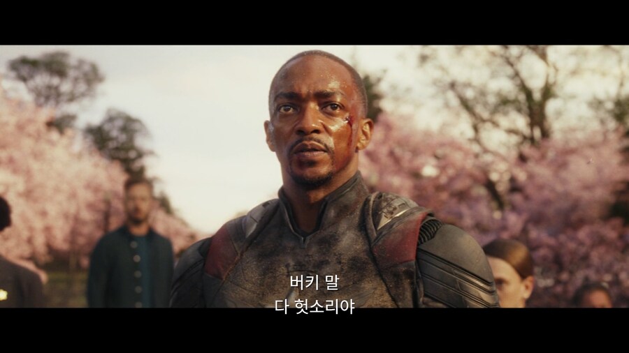 MCU)역대 캡틴아메리카를 상징하는 문장_3.jpg