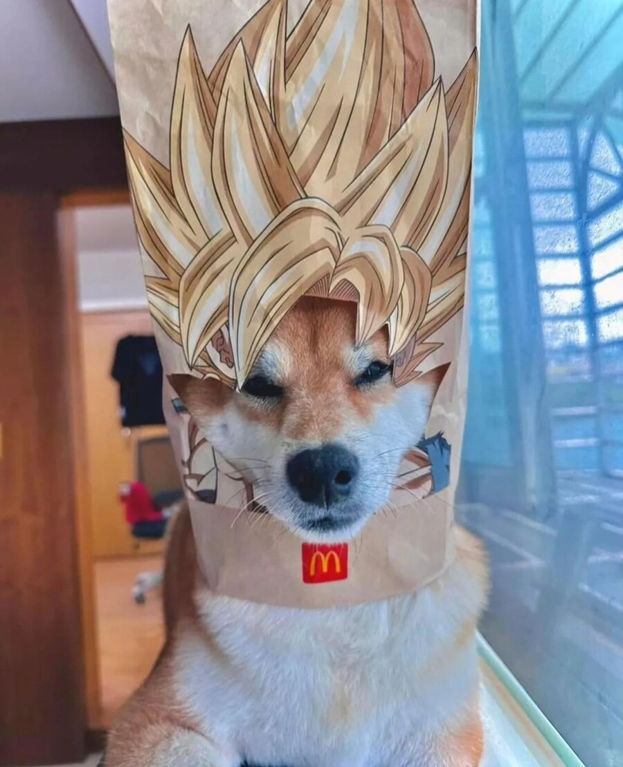 대만에서 유행이라는 맥도날드 봉투 챌린지_3.png