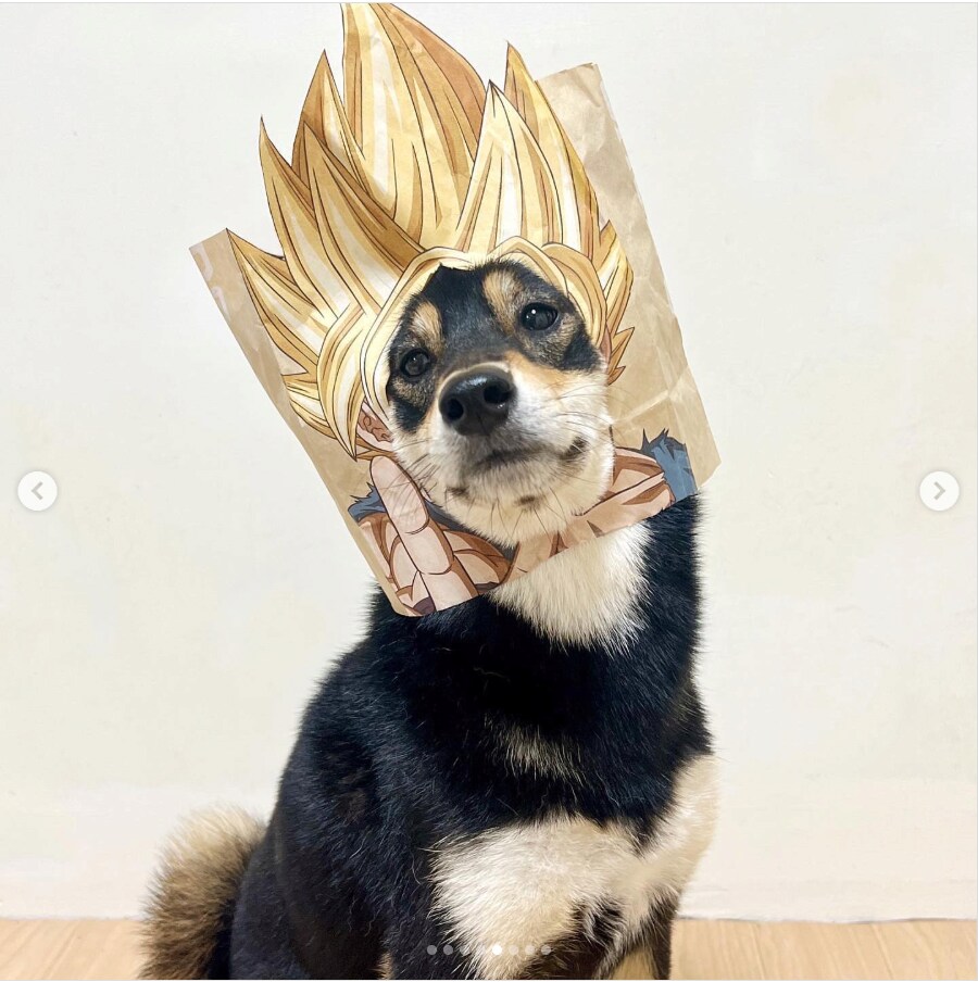 대만에서 유행이라는 맥도날드 봉투 챌린지_5.png