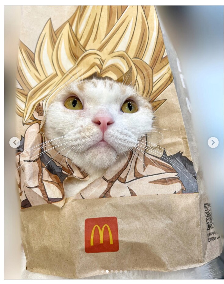대만에서 유행이라는 맥도날드 봉투 챌린지_7.png