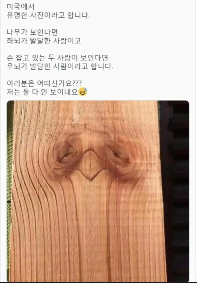 미국에서 유명하다는 사진_1.webp