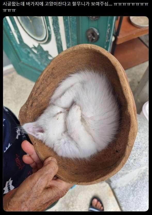 할머니가 보여주시는 것.jpg_1.jpg