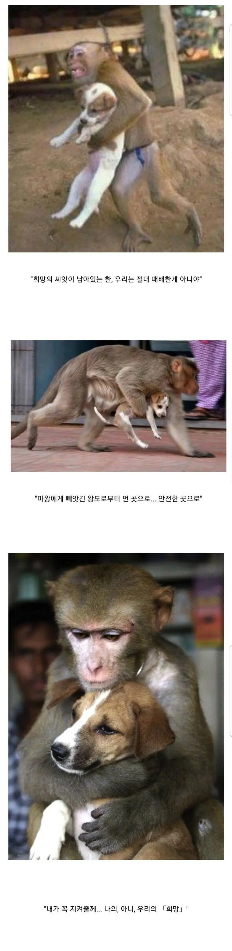 떡인지 vs 용사물 클리셰_2.jpg