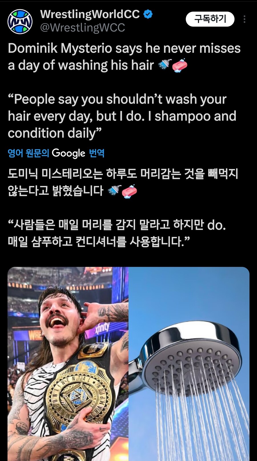도미닉 미스테리오 : 나는 매일 머리를 샤워를 합니다_1.jpg