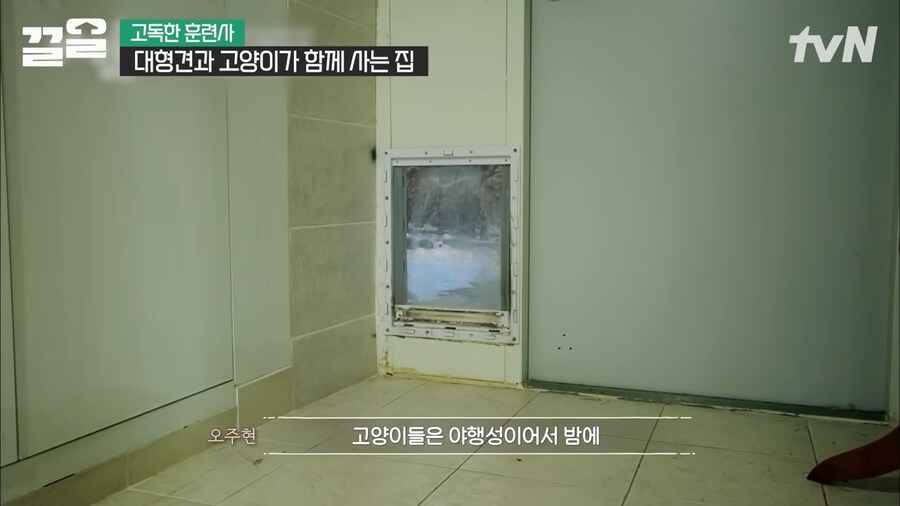 강형욱 인터뷰 대 참사_1.png