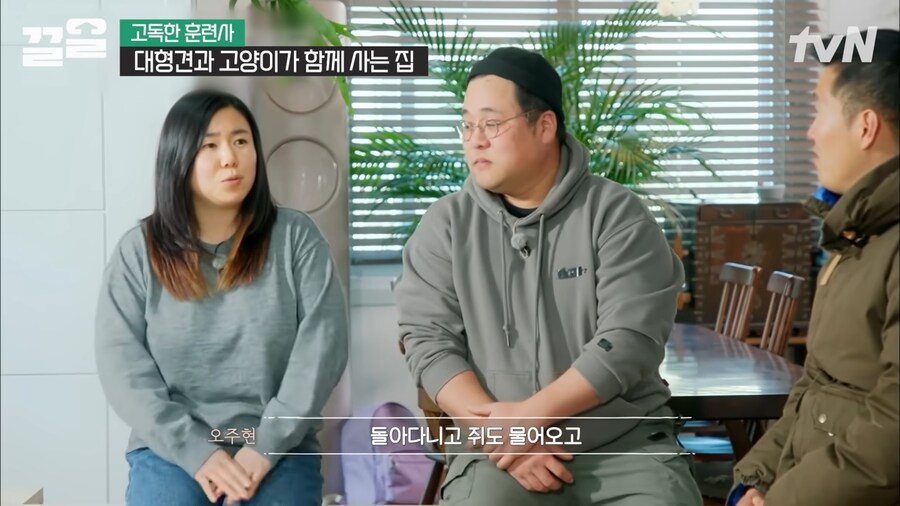 강형욱 인터뷰 대 참사_3.png