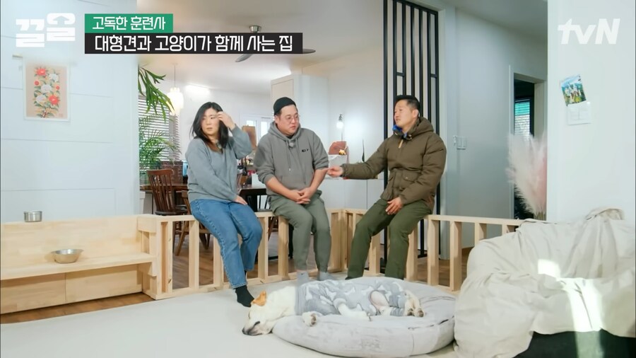 강형욱 인터뷰 대 참사_7.png