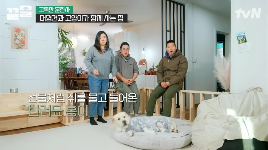 강형욱 인터뷰 대 참사_11.png