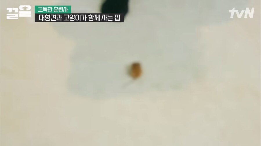강형욱 인터뷰 대 참사_12.png