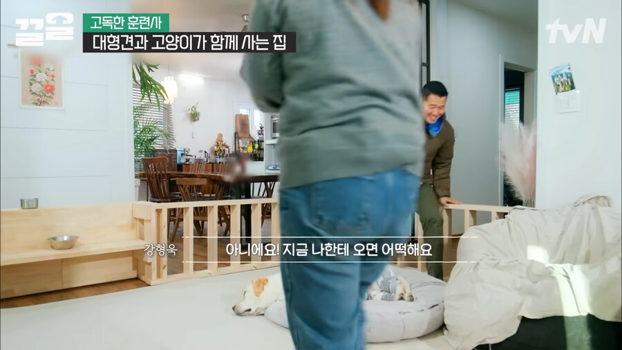 강형욱 인터뷰 대 참사_14.png