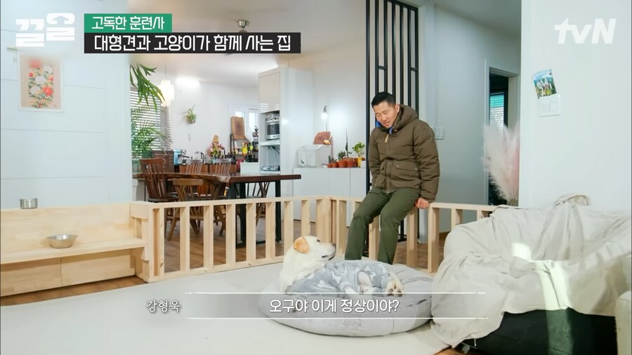 강형욱 인터뷰 대 참사_17.png
