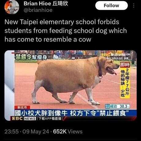 대만의 어떤 학교의 교칙.jpg_1.jpg