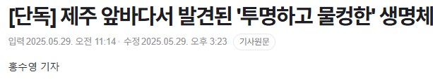 제주 앞바다서 발견된