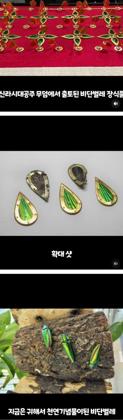 벌레가 동원된 신라 유물.jpg_1.jpg