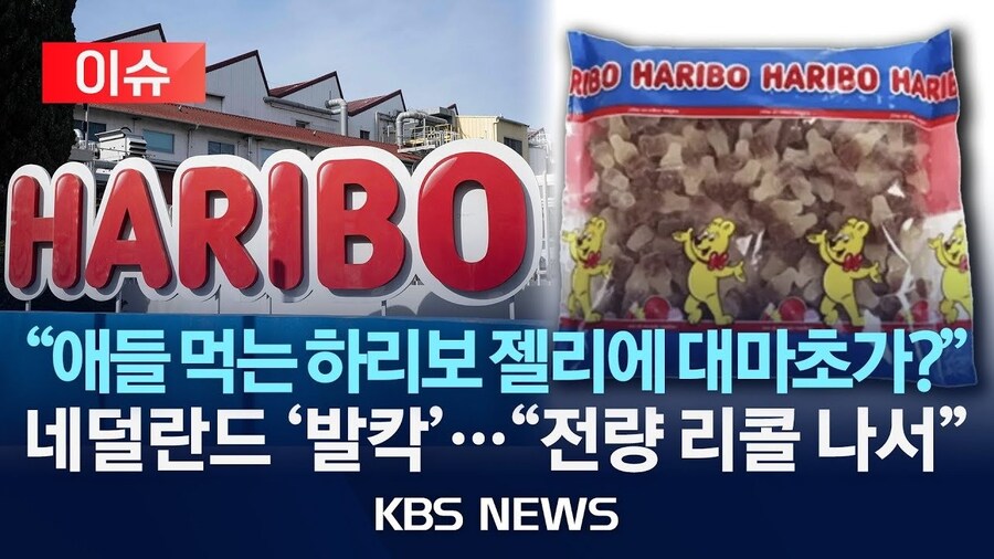 난리난 하리보_1.png
