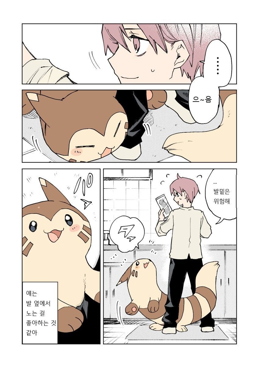 평화로운 포켓몬과의 일상.Manhwa_5.jpg