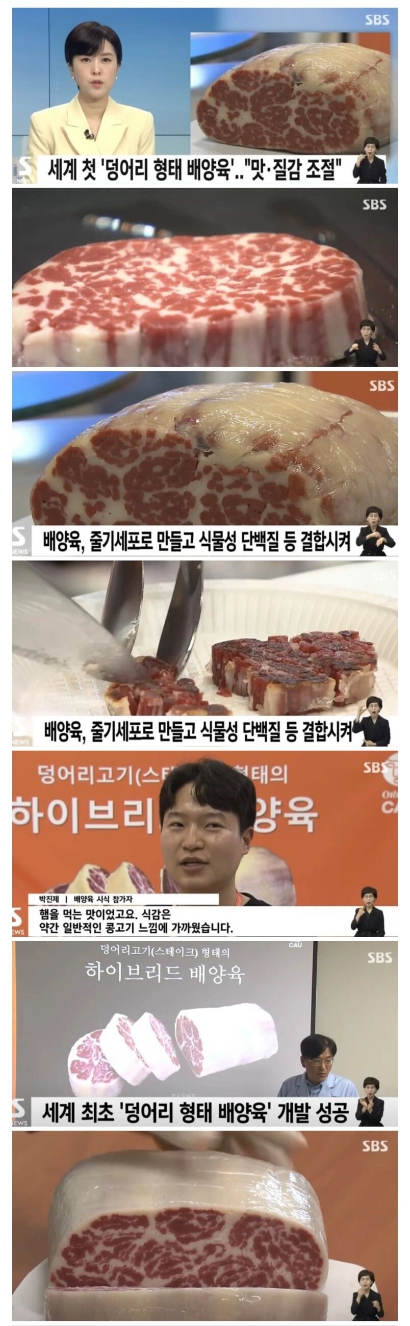 세계 최초 덩어리 배양육 개발 성공.jpg_1.jpg