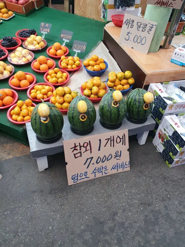 참외 한 개 7천원_1.png