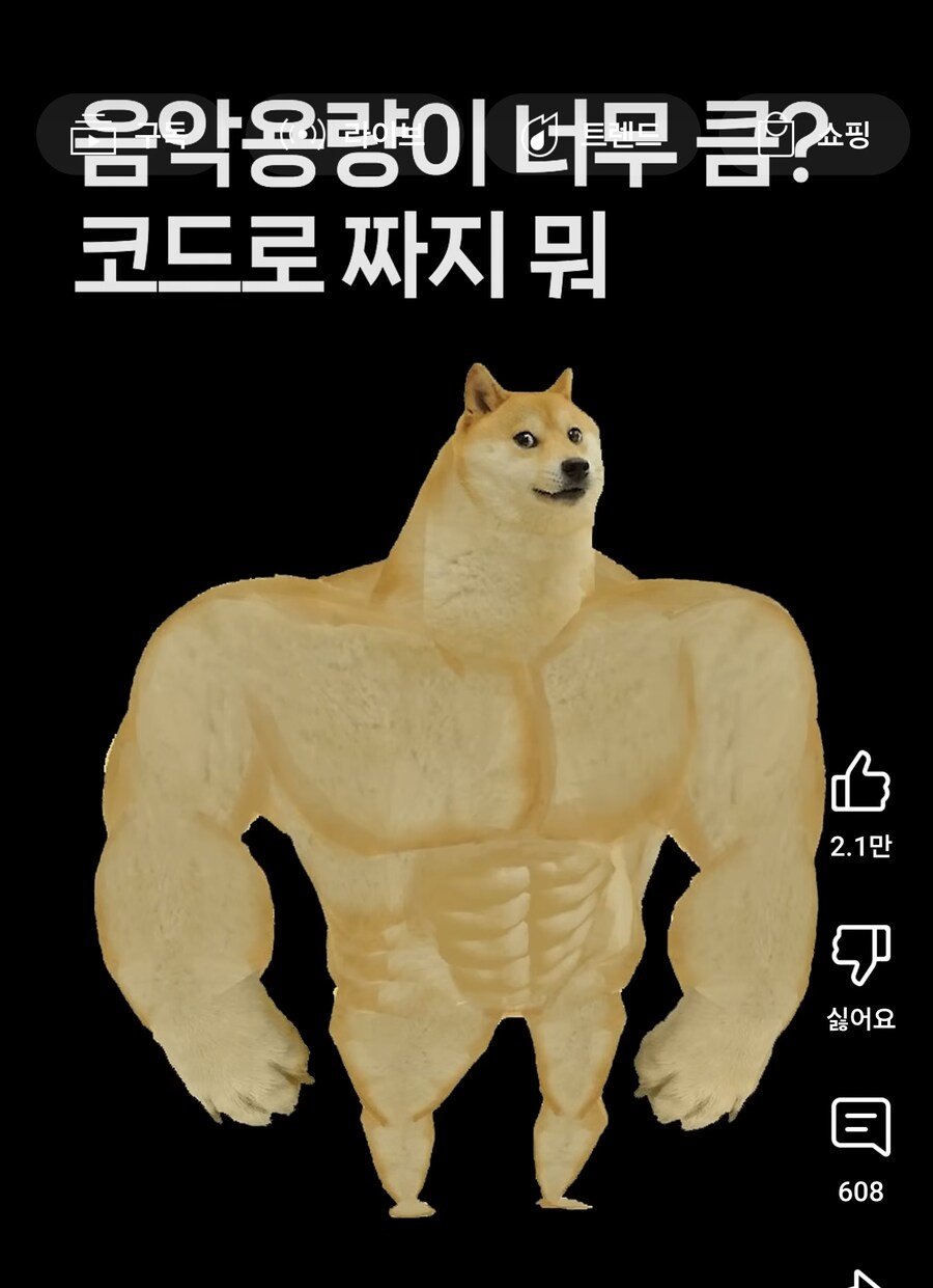 옛날 작곡가들 특징_3.jpg