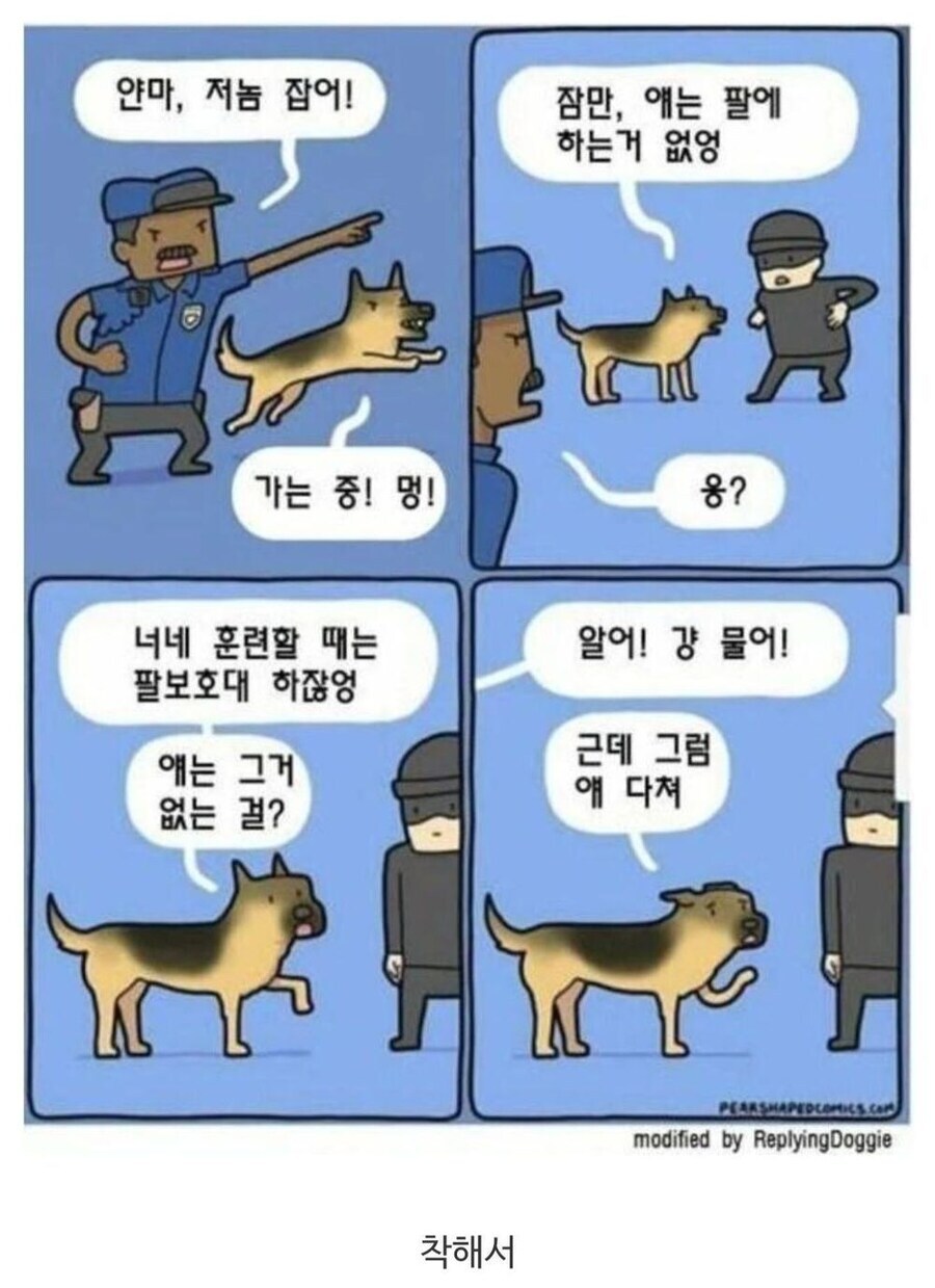경찰견이 탈락한 이유_1.jpg