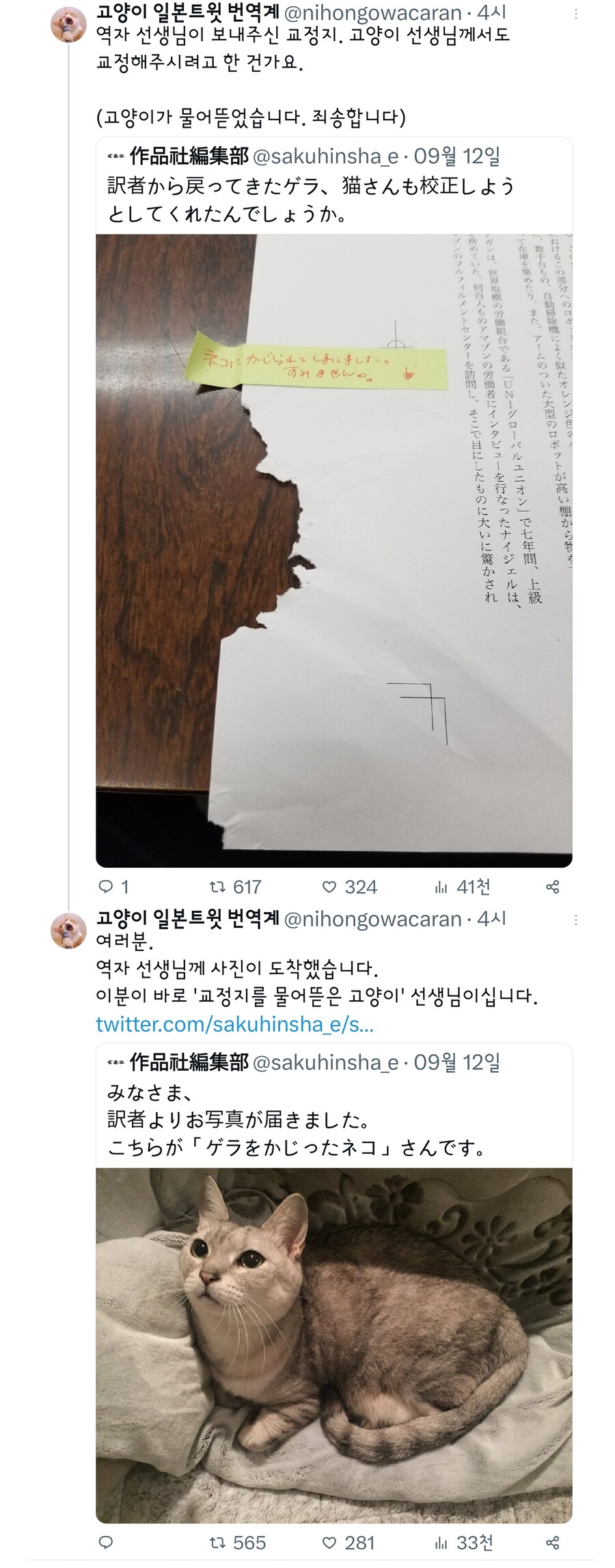 같이 교정에 참여한 고양이.jpg_1.jpg
