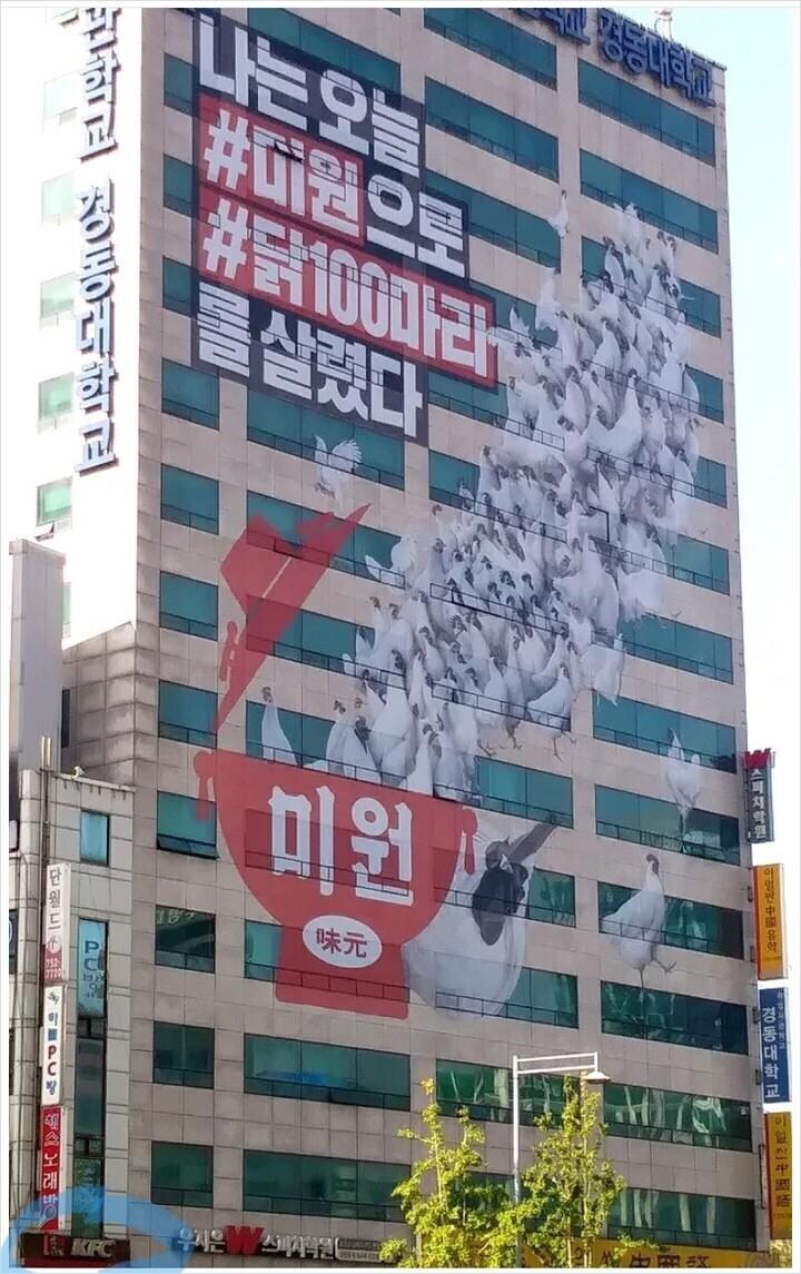 미원으로 살린 닭 100마리가 가는곳.jpg_1.jpg
