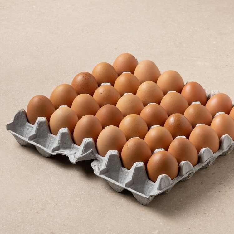 탈북민들이 남한에오면 꼭 걸린다는 배탈_1.jpg