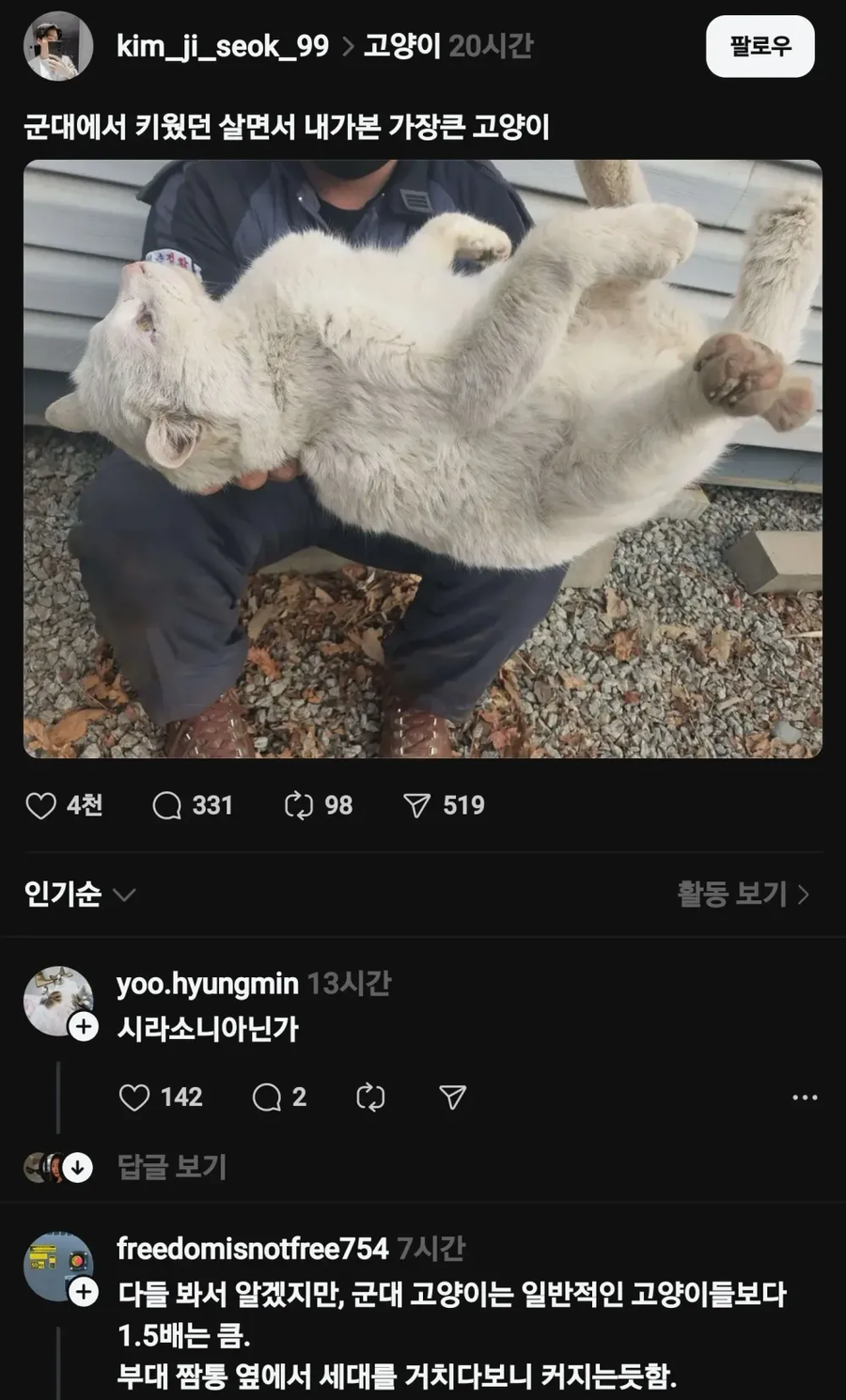 최대 크기 짬타이거_1.webp