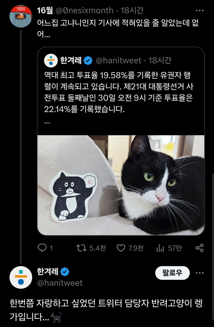 공식계정으로 고양이 자랑이나 하는 파렴치한 담당자_1.jpg